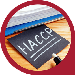 Haccp - icon categoria