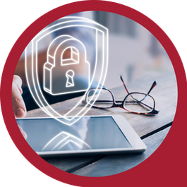 Privacy - icon categoria